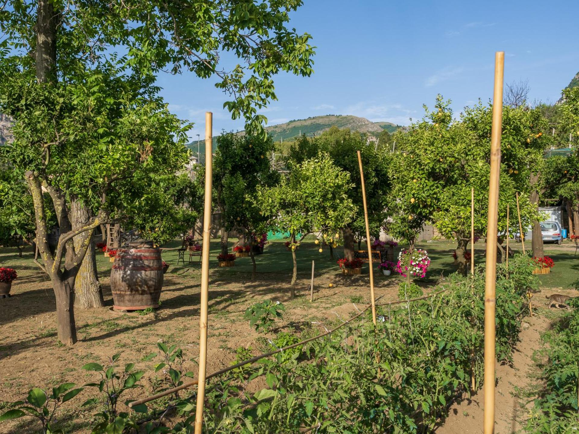 Giardino Di Nonno Lucio - Surrounded By Lemon Tree Villa Piano di Sorrento Luaran gambar