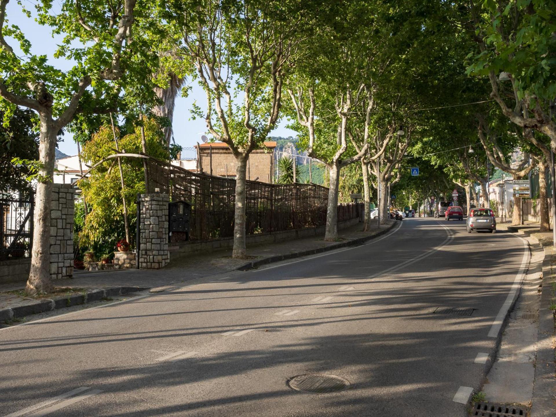 Giardino Di Nonno Lucio - Surrounded By Lemon Tree Villa Piano di Sorrento Luaran gambar