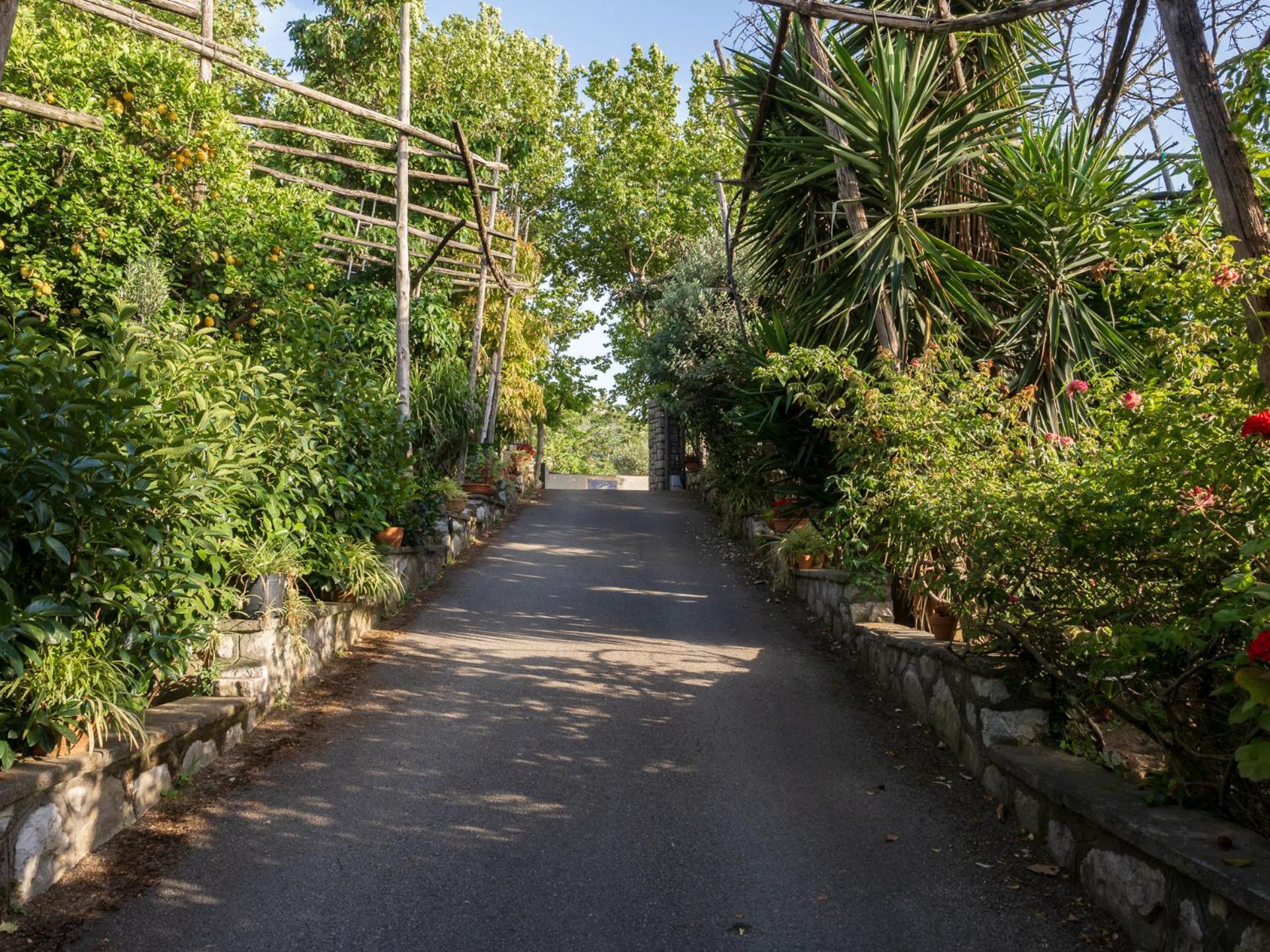 Giardino Di Nonno Lucio - Surrounded By Lemon Tree Villa Piano di Sorrento Luaran gambar